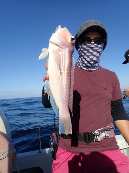 Aquanaut（アクアノート） 釣果