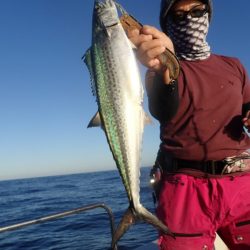 Aquanaut（アクアノート） 釣果