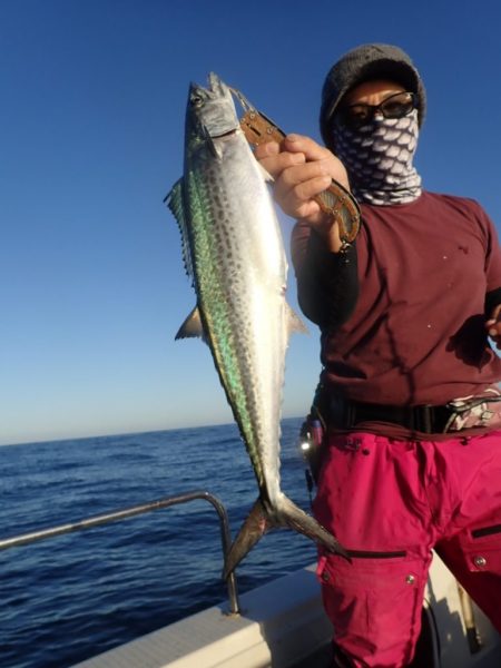 Aquanaut（アクアノート） 釣果