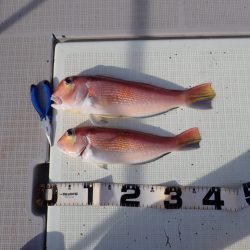 Aquanaut(アクアノート) 釣果