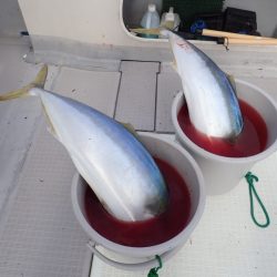 Aquanaut（アクアノート） 釣果