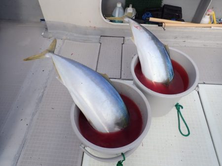 Aquanaut（アクアノート） 釣果