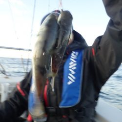 Aquanaut（アクアノート） 釣果