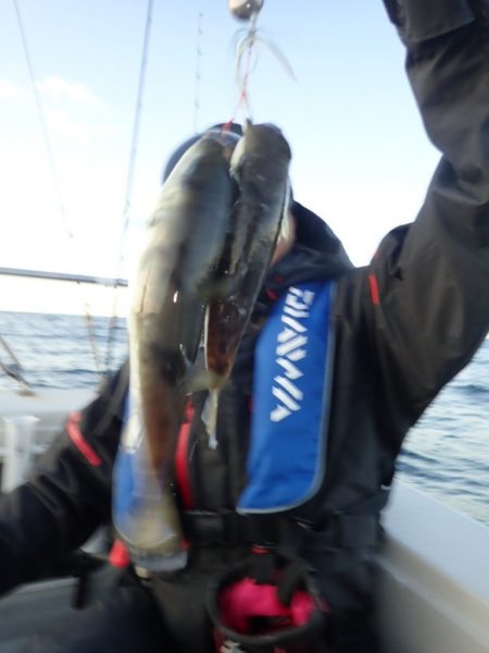 Aquanaut（アクアノート） 釣果