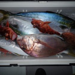 Aquanaut（アクアノート） 釣果