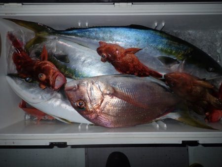 Aquanaut（アクアノート） 釣果