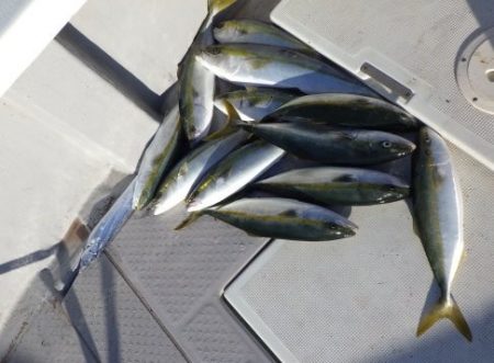 えすぽあ 釣果