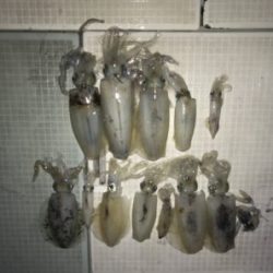 さぶろう丸 釣果