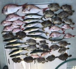 さぶろう丸 釣果