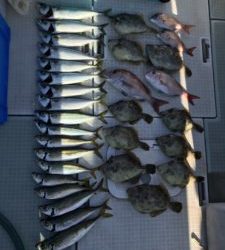 さぶろう丸 釣果