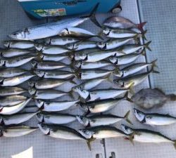 さぶろう丸 釣果