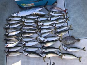 さぶろう丸 釣果