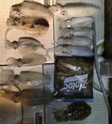 さぶろう丸 釣果