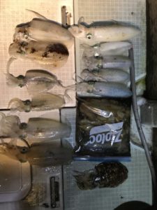 さぶろう丸 釣果