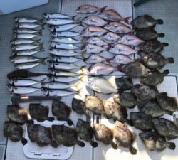 さぶろう丸 釣果