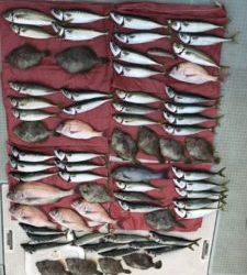 さぶろう丸 釣果