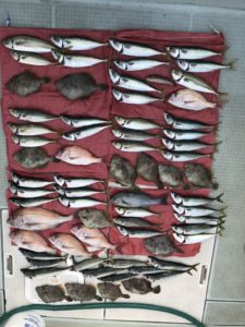 さぶろう丸 釣果
