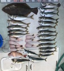 さぶろう丸 釣果