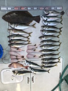さぶろう丸 釣果