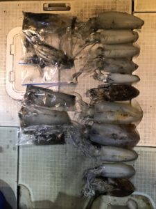 さぶろう丸 釣果