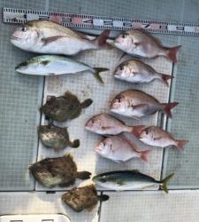 さぶろう丸 釣果