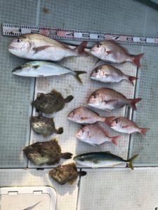 さぶろう丸 釣果