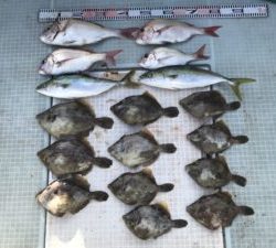 さぶろう丸 釣果