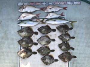 さぶろう丸 釣果