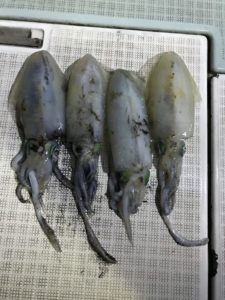 さぶろう丸 釣果