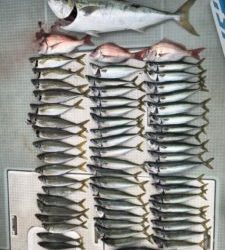 さぶろう丸 釣果