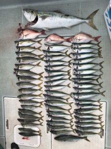 さぶろう丸 釣果