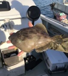 さぶろう丸 釣果