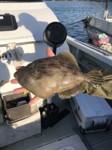 さぶろう丸 釣果