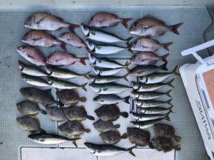 さぶろう丸 釣果