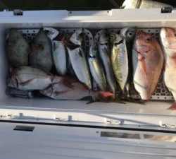 さぶろう丸 釣果