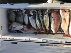 さぶろう丸 釣果