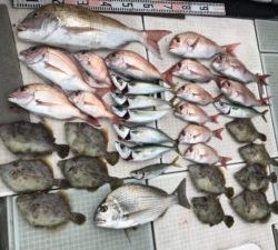 さぶろう丸 釣果