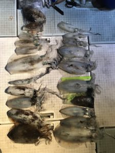 さぶろう丸 釣果