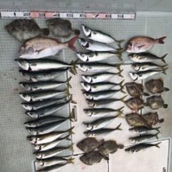 さぶろう丸 釣果