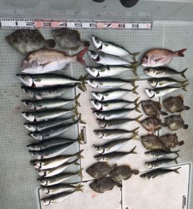 さぶろう丸 釣果