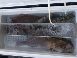 さぶろう丸 釣果