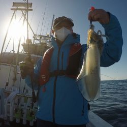 三吉丸 釣果