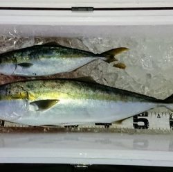 火遠理丸(ほおりまる) 釣果