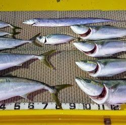 火遠理丸（ほおりまる） 釣果