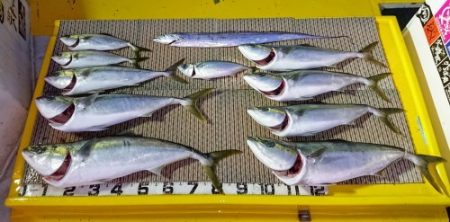 火遠理丸（ほおりまる） 釣果