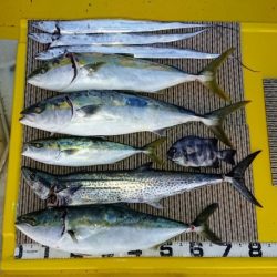 火遠理丸（ほおりまる） 釣果