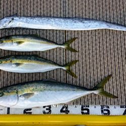 火遠理丸（ほおりまる） 釣果