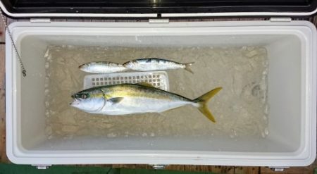 火遠理丸（ほおりまる） 釣果