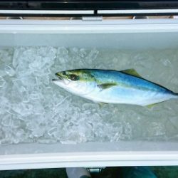 火遠理丸（ほおりまる） 釣果