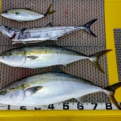 火遠理丸(ほおりまる) 釣果